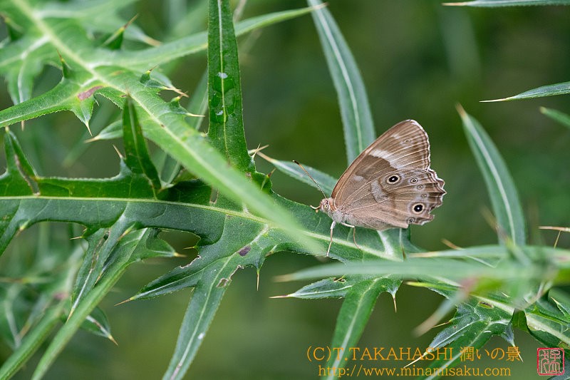 ../Images/7R240815 (44).jpg